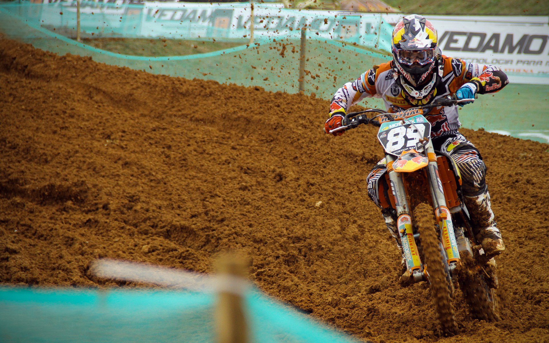 “水上芭蕾：艺术与竞技的完美融合，2025新加坡游泳锦标赛亮点”